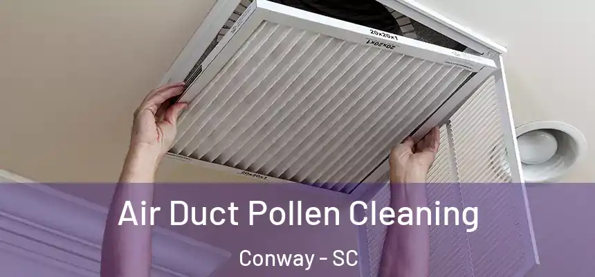  Air Duct Pollen Cleaning Conway - SC