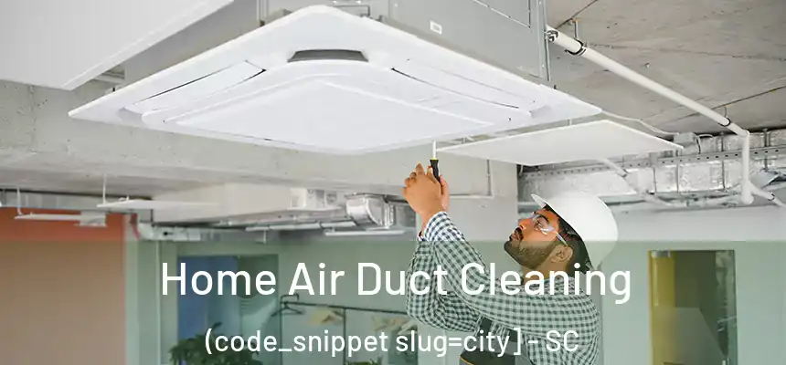  Home Air Duct Cleaning (code_snippet slug=city] - SC