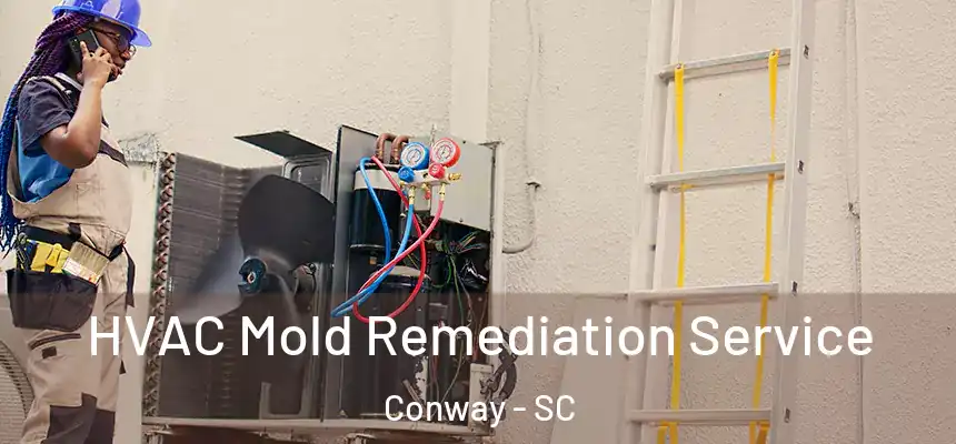 HVAC Mold Remediation Service Conway - SC