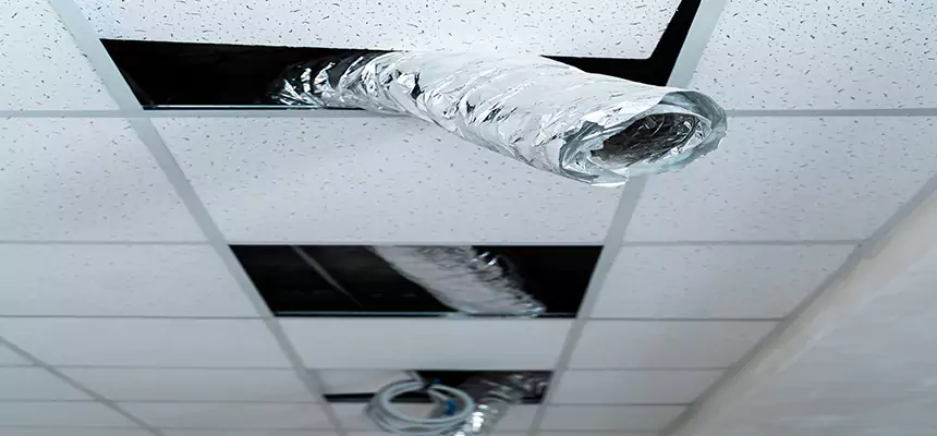 Our Air Duct Pet Hair Removal Services in Conway, SC