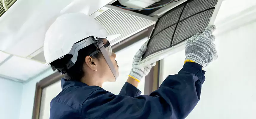 Our Mold & Mildew Removal from Air Ducts Services in Conway, SC