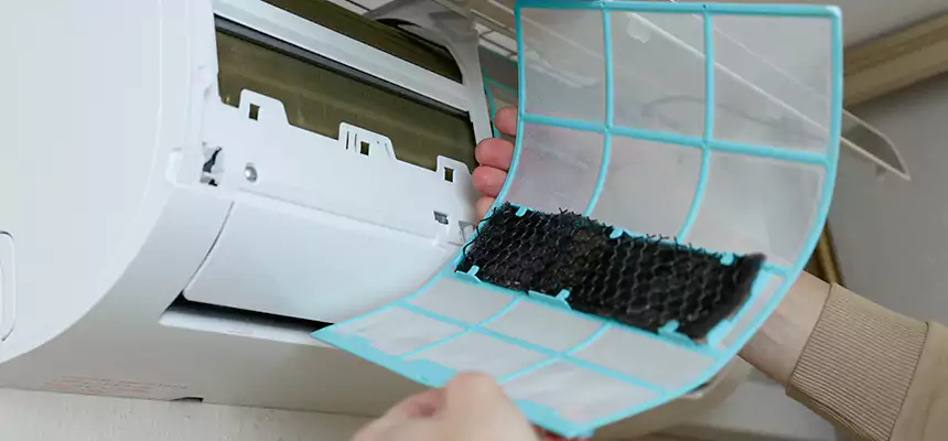 Gentle Ductwork Odor-Control Pet Dander Duct Cleaning in Conway, SC