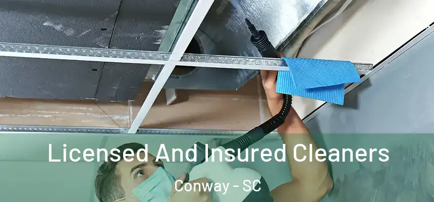 Licensed And Insured Cleaners Conway - SC
