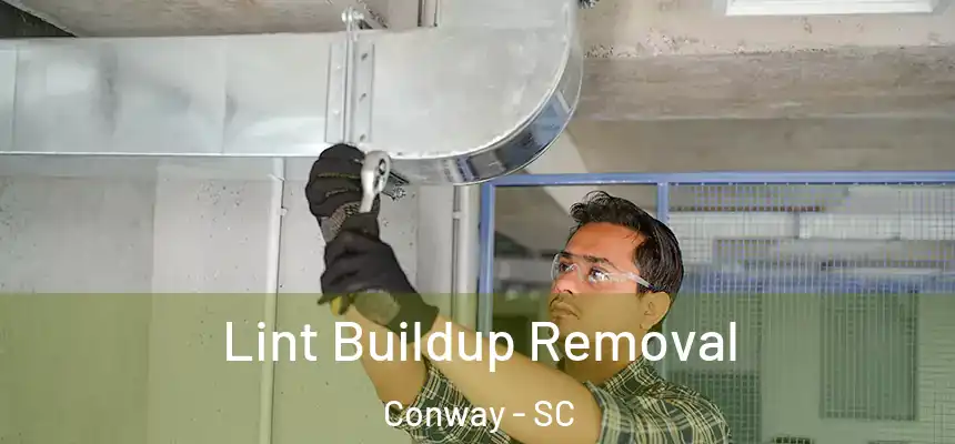 Lint Buildup Removal Conway - SC