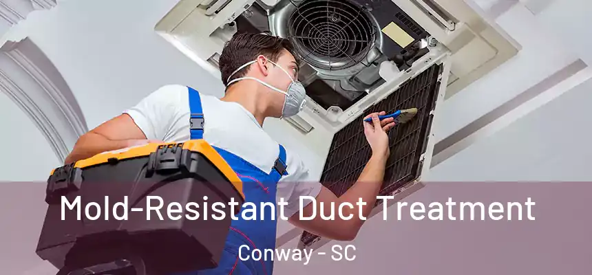  Mold-Resistant Duct Treatment Conway - SC