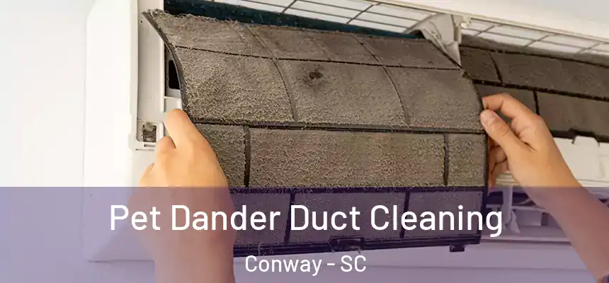  Pet Dander Duct Cleaning Conway - SC