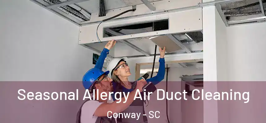  Seasonal Allergy Air Duct Cleaning Conway - SC
