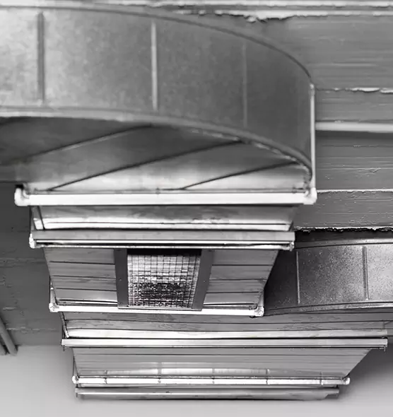 Professional Air Duct Pest Removal in Conway, SC