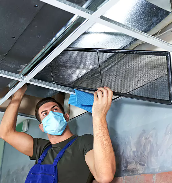 Professional Air Duct Pollen Cleaning in Conway, SC