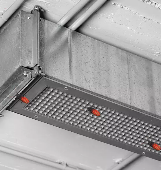 Affordable Insect Removal from Air Ducts in Conway, SC