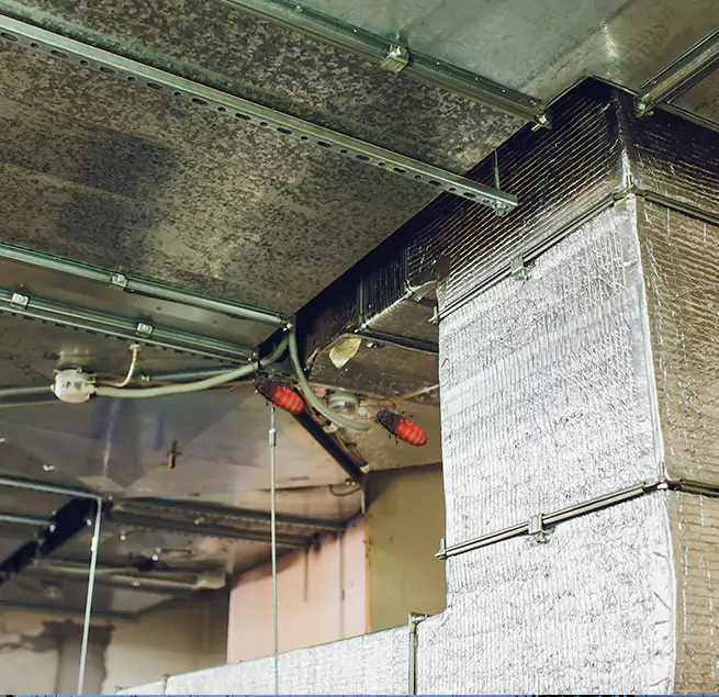 Why Homeowners & Businesses Trust Us in Conway, SC?