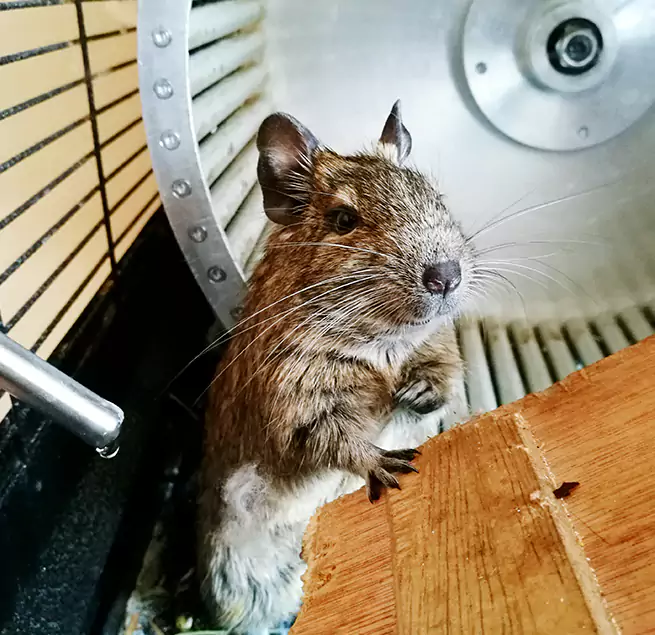 Why Homeowners & Businesses Trust Us Conway, SC?