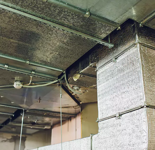 Why Homeowners & Businesses Trust Us in Conway, SC?